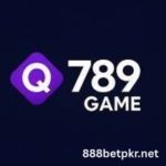 Q789 Game